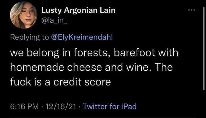 Lusty Argonian Lain @la in Replying to @ElyKreimendahl we belong in forests, barefoot with homemade cheese and wine. The fuck is a credit score 6:16 PM • 12/16/21 • Twitter for iPad