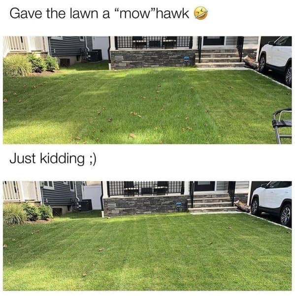 middle class memes, suburban memes, middle class fancy, middle-class humor, suburban humor, family memes, relatable memes, lifestyle memes, dad jokes, suburban life, everyday humor, family life, casual humor