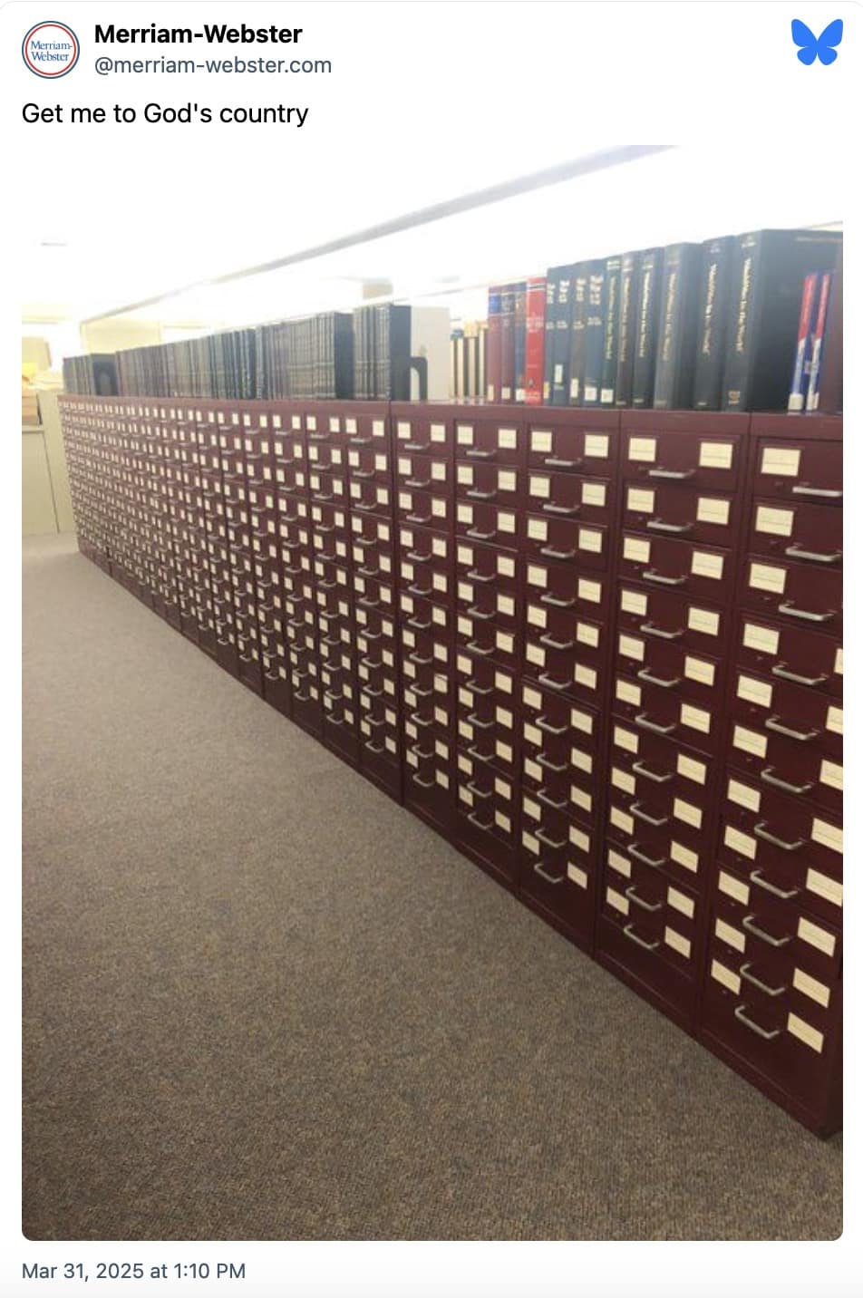 morgan wallen memes, get me to god's country memes, gods country memes, wallen memes, country music memes, SNL memes, celebrity memes, country singer humor, yeehaw memes, Saturday Night Live satire, sketch show jokes, late-night humor, famous people jokes, star satire, pop culture humor