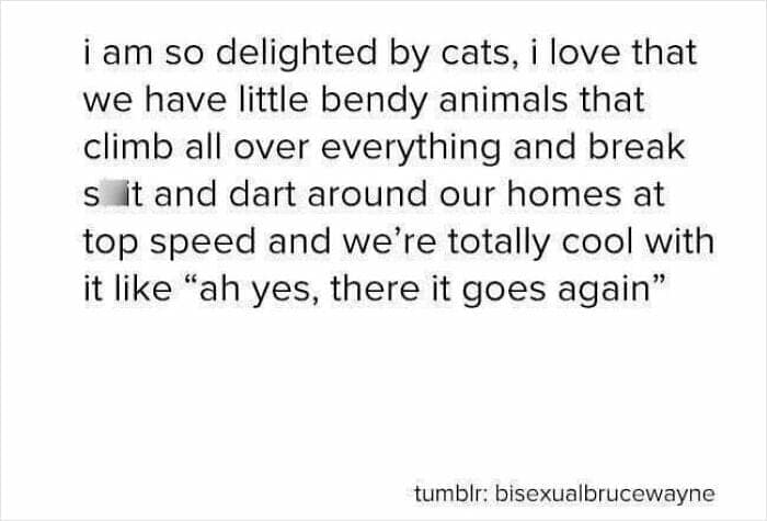 nihilist memes, depressing memes, existential memes, meaningless memes, gloom memes, sorrowful memes, sad memes, dark humor memes, edgy humor memes, black comedy memes, bleak memes, hopeless memes, despair memes