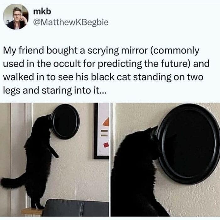 nihilist memes, depressing memes, existential memes, meaningless memes, gloom memes, sorrowful memes, sad memes, dark humor memes, edgy humor memes, black comedy memes, bleak memes, hopeless memes, despair memes