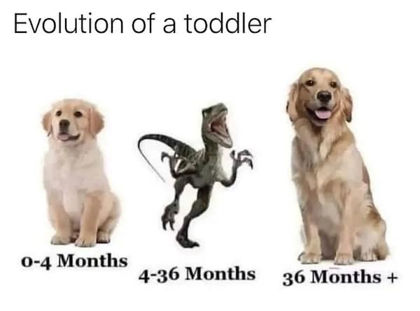Evolution of a toddler