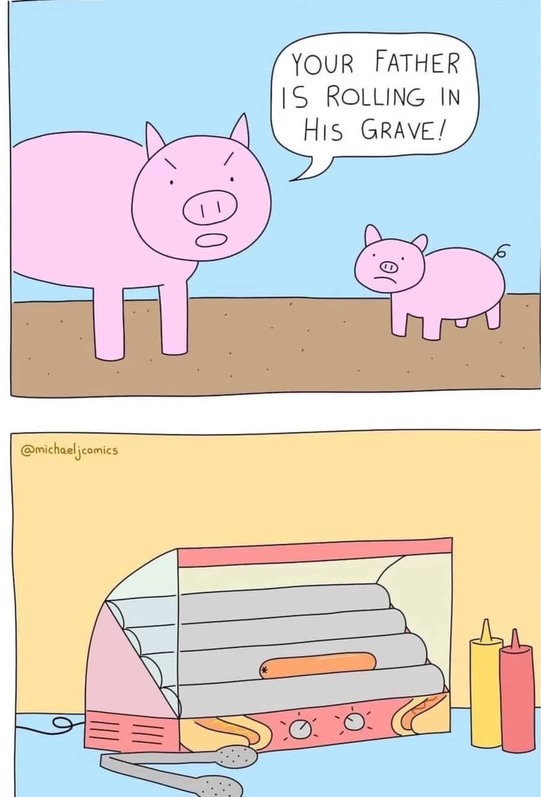 pig memes, funny pig, piglet memes, cute pig pictures, piglet memes, cute pigs, cute piglets