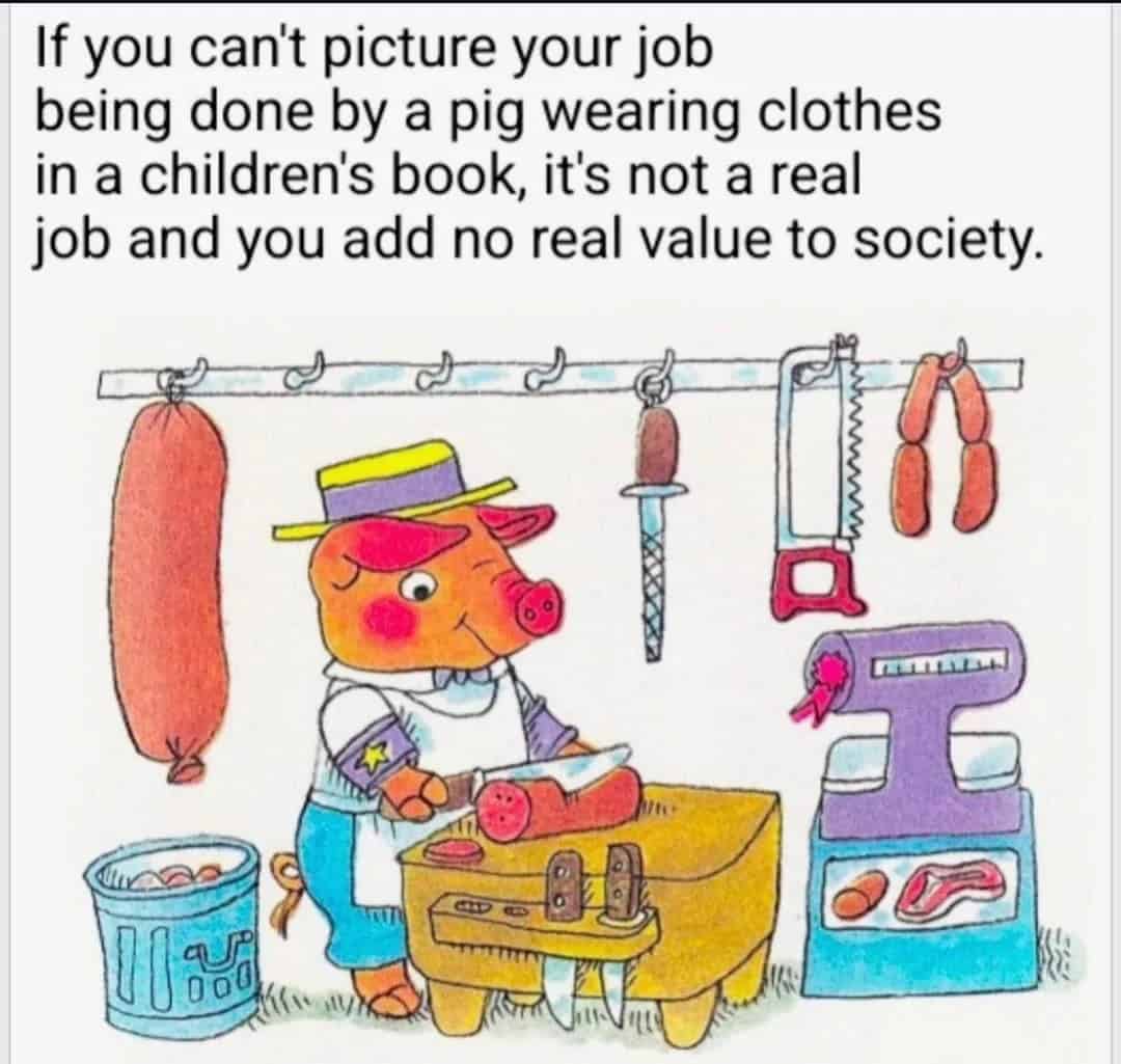 pig memes, funny pig, piglet memes, cute pig pictures, piglet memes, cute pigs, cute piglets