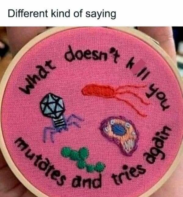 science memes, math memes, STEM memes, lab memes, geek jokes, nerd memes, academic humor, scholar laughs, calculus jokes, algebra humor, geek memes, techie laughs, nerdy funnies