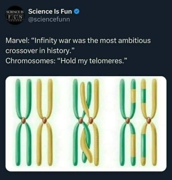 science memes, math memes, STEM memes, lab memes, geek jokes, nerd memes, academic humor, scholar laughs, calculus jokes, algebra humor, geek memes, techie laughs, nerdy funnies