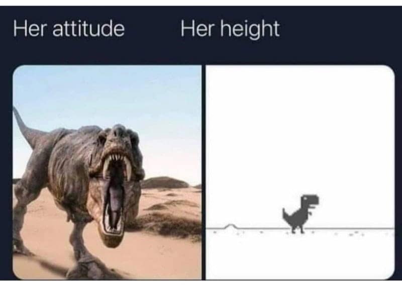 Her attitude Her height
