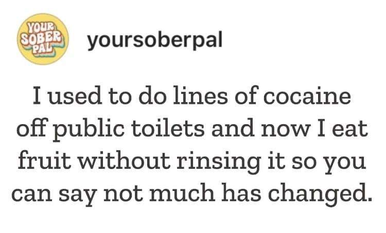 I used to do lines of cocaine off public toilets and now I eat fruit without rinsing it so you can say not much has changed.