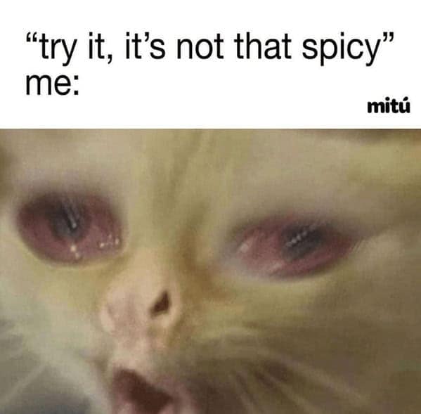 spicy food memes, food memes, hot food memes, fiery food memes, chili memes, spicy challenges, scalding taste tests, pepper showdowns, fiery food jokes, burning flavor jokes, hot sauce quips, chili pepper humor, pepper puns, blazing pepper references