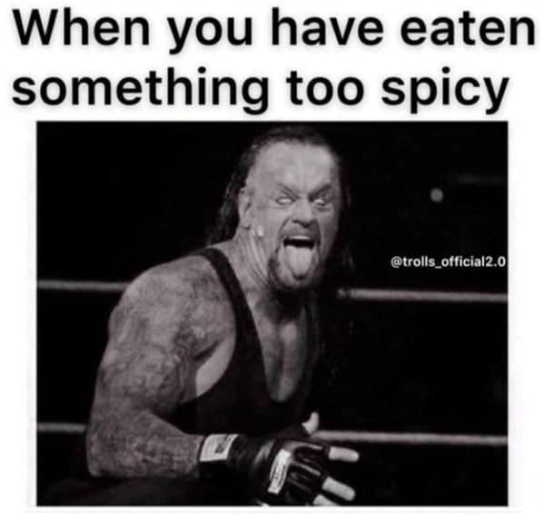 spicy food memes, food memes, hot food memes, fiery food memes, chili memes, spicy challenges, scalding taste tests, pepper showdowns, fiery food jokes, burning flavor jokes, hot sauce quips, chili pepper humor, pepper puns, blazing pepper references