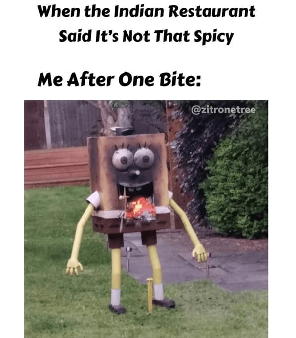 spicy food memes, food memes, hot food memes, fiery food memes, chili memes, spicy challenges, scalding taste tests, pepper showdowns, fiery food jokes, burning flavor jokes, hot sauce quips, chili pepper humor, pepper puns, blazing pepper references