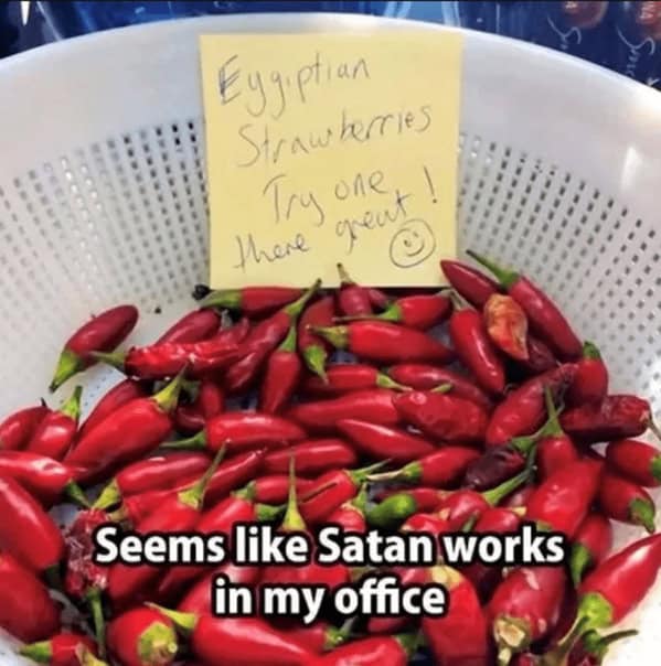 spicy food memes, food memes, hot food memes, fiery food memes, chili memes, spicy challenges, scalding taste tests, pepper showdowns, fiery food jokes, burning flavor jokes, hot sauce quips, chili pepper humor, pepper puns, blazing pepper references