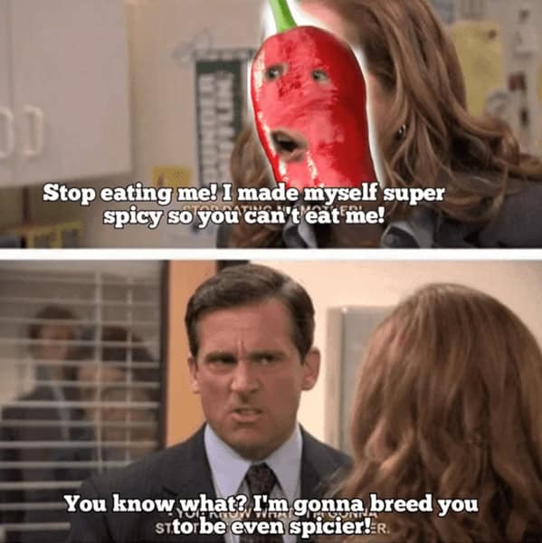 spicy food memes, food memes, hot food memes, fiery food memes, chili memes, spicy challenges, scalding taste tests, pepper showdowns, fiery food jokes, burning flavor jokes, hot sauce quips, chili pepper humor, pepper puns, blazing pepper references