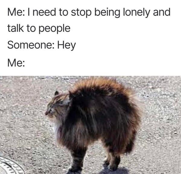 struggle meme, struggle memes, adulting memes, life struggle memes, relatable memes, daily struggle jokes, everyday memes, hardship humor, adulting jokes, life memes, work struggle memes, grind memes, stress memes, tired memes, burnout memes, real life humor