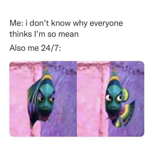 struggle meme, struggle memes, adulting memes, life struggle memes, relatable memes, daily struggle jokes, everyday memes, hardship humor, adulting jokes, life memes, work struggle memes, grind memes, stress memes, tired memes, burnout memes, real life humor