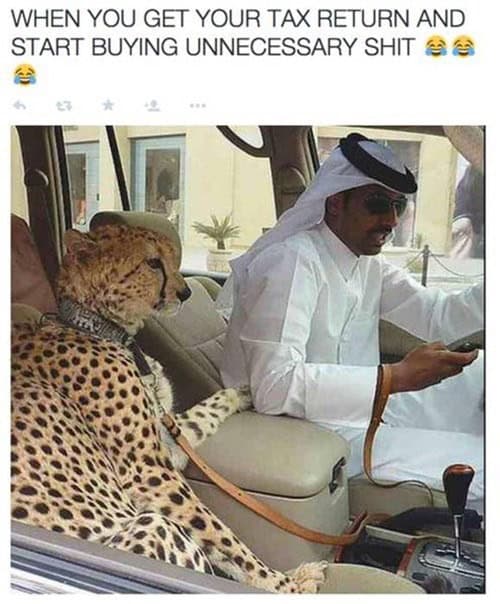 tax memes, taxes memes, tax-themed memes, taxing memes, accounting memes, tax season jokes, income tax jokes, april tax jokes, funny tax memes, comedic tax references, hysterical tax gags, tax day humor, last-minute tax humor, return deadline jokes