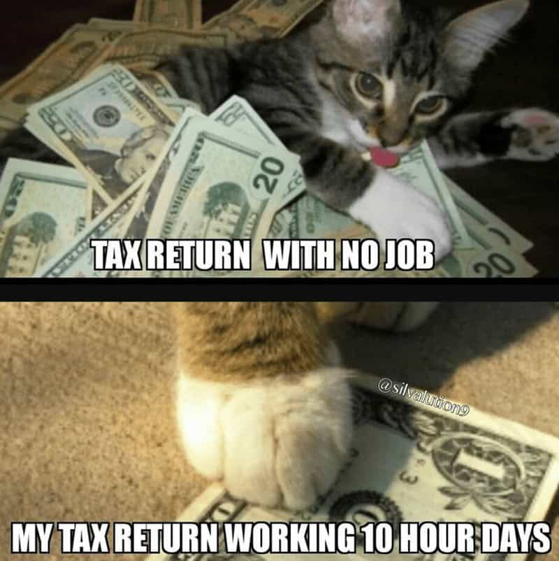 tax memes, taxes memes, tax-themed memes, taxing memes, accounting memes, tax season jokes, income tax jokes, april tax jokes, funny tax memes, comedic tax references, hysterical tax gags, tax day humor, last-minute tax humor, return deadline jokes