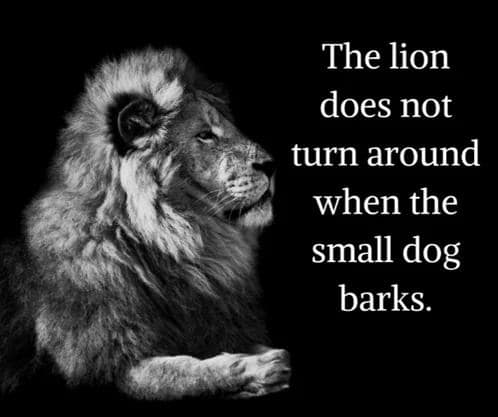 the lion memes, the lion does not concern himself, alpha male memes, sigma grindset jokes, hustle culture humor, alpha quotes parody, lion quote memes, animal motivation memes, predator proverb jokes, king of jungle humor, viral animal memes, trending beast memes, wild creature jokes, zoo meme trend