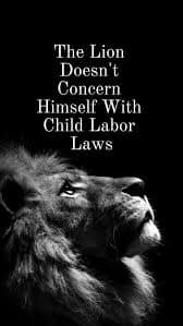 the lion memes, the lion does not concern himself, alpha male memes, sigma grindset jokes, hustle culture humor, alpha quotes parody, lion quote memes, animal motivation memes, predator proverb jokes, king of jungle humor, viral animal memes, trending beast memes, wild creature jokes, zoo meme trend