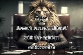 the lion memes, the lion does not concern himself, alpha male memes, sigma grindset jokes, hustle culture humor, alpha quotes parody, lion quote memes, animal motivation memes, predator proverb jokes, king of jungle humor, viral animal memes, trending beast memes, wild creature jokes, zoo meme trend