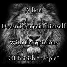 the lion memes, the lion does not concern himself, alpha male memes, sigma grindset jokes, hustle culture humor, alpha quotes parody, lion quote memes, animal motivation memes, predator proverb jokes, king of jungle humor, viral animal memes, trending beast memes, wild creature jokes, zoo meme trend