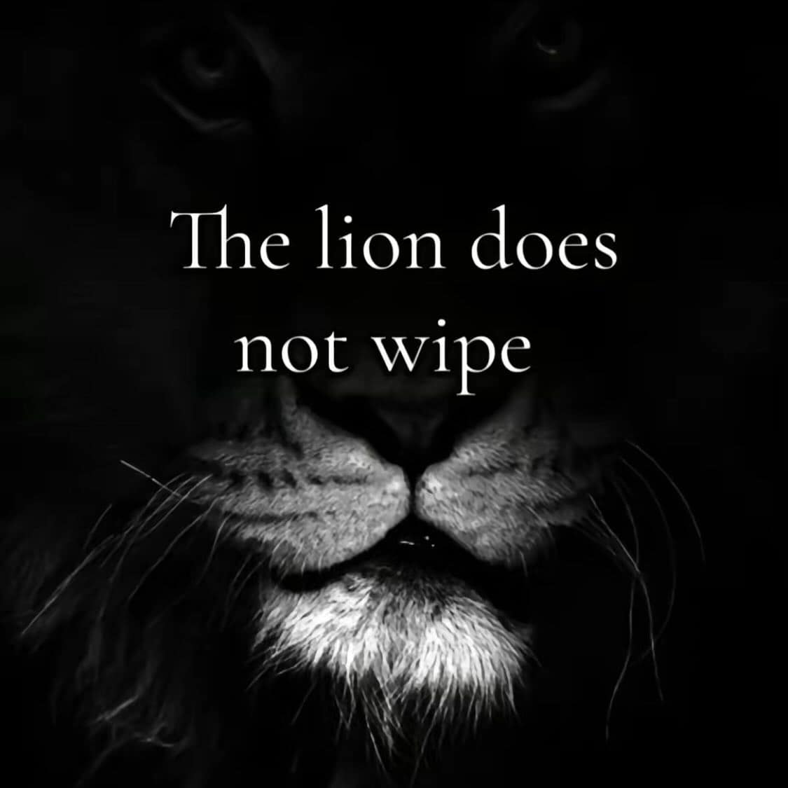 the lion memes, the lion does not concern himself, alpha male memes, sigma grindset jokes, hustle culture humor, alpha quotes parody, lion quote memes, animal motivation memes, predator proverb jokes, king of jungle humor, viral animal memes, trending beast memes, wild creature jokes, zoo meme trend