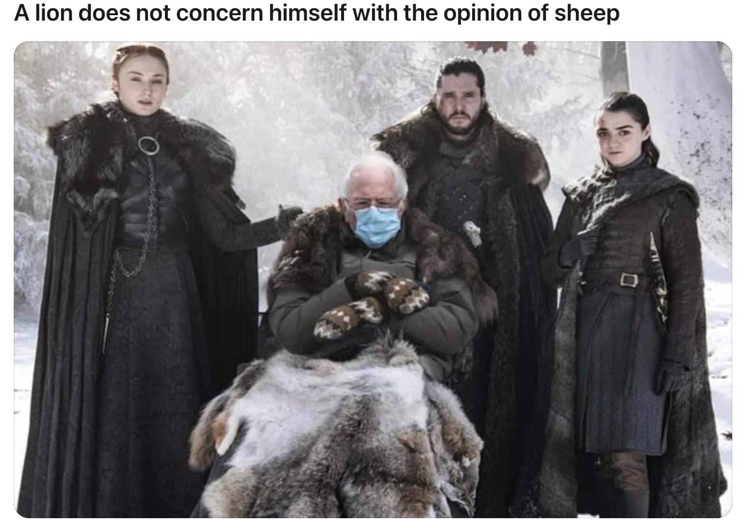 the lion memes, the lion does not concern himself, alpha male memes, sigma grindset jokes, hustle culture humor, alpha quotes parody, lion quote memes, animal motivation memes, predator proverb jokes, king of jungle humor, viral animal memes, trending beast memes, wild creature jokes, zoo meme trend