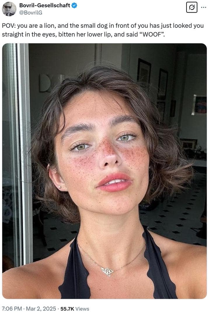 the lion memes, the lion does not concern himself, alpha male memes, sigma grindset jokes, hustle culture humor, alpha quotes parody, lion quote memes, animal motivation memes, predator proverb jokes, king of jungle humor, viral animal memes, trending beast memes, wild creature jokes, zoo meme trend