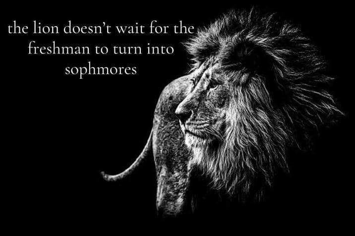 the lion memes, the lion does not concern himself, alpha male memes, sigma grindset jokes, hustle culture humor, alpha quotes parody, lion quote memes, animal motivation memes, predator proverb jokes, king of jungle humor, viral animal memes, trending beast memes, wild creature jokes, zoo meme trend