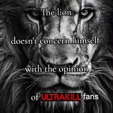 the lion memes, the lion does not concern himself, alpha male memes, sigma grindset jokes, hustle culture humor, alpha quotes parody, lion quote memes, animal motivation memes, predator proverb jokes, king of jungle humor, viral animal memes, trending beast memes, wild creature jokes, zoo meme trend