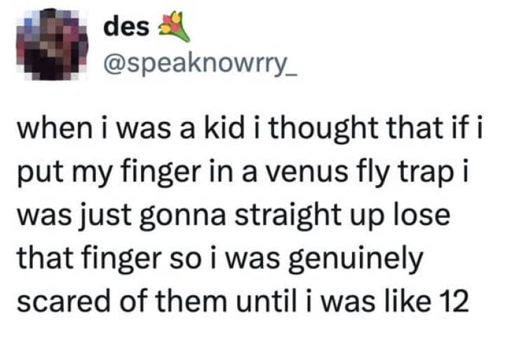 when i was a kid i thought that if i put my finger in a venus fly trap i was just gonna straight up lose that finger so i was genuinely scared of them until i was like 12