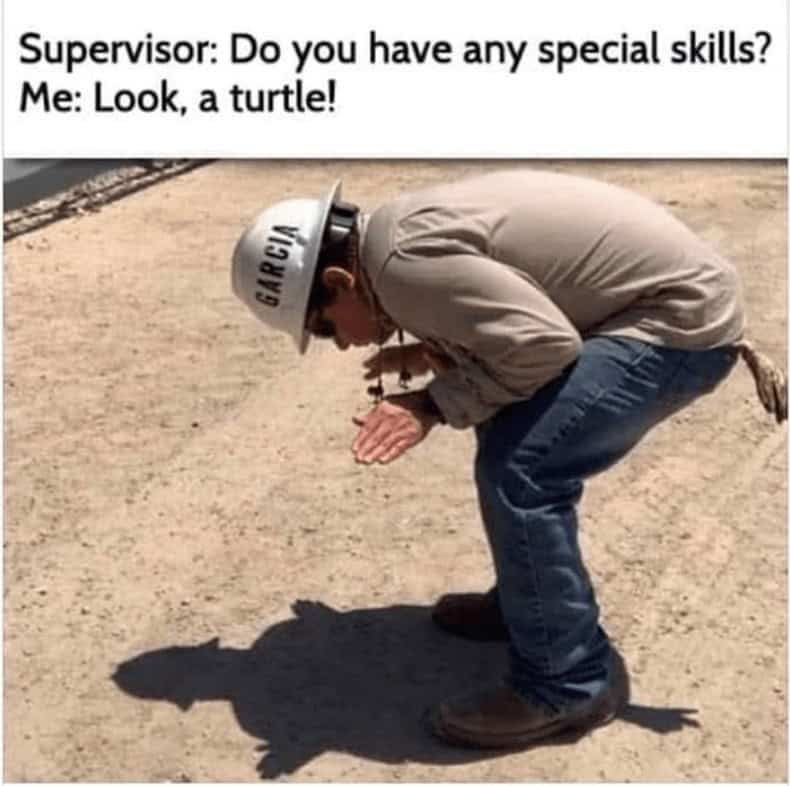 turtle memes, tortoise memes, shell memes, funny turtle pics, turtle jokes, turtle humor, slow memes, animal memes, pet memes, wildlife memes, cute memes