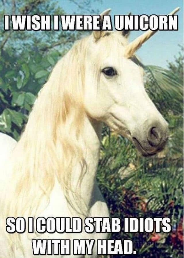 unicorn meme, unicorn memes, unicorn jokes, unicorn laughs, mythical horse meme, unicorn jokes, magical horse jokes, rainbow horse humor, unicorn quotes, unicorn sayings, horned horse quotes, funny unicorn, silly unicorn, comedic unicorn