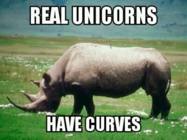 unicorn meme, unicorn memes, unicorn jokes, unicorn laughs, mythical horse meme, unicorn jokes, magical horse jokes, rainbow horse humor, unicorn quotes, unicorn sayings, horned horse quotes, funny unicorn, silly unicorn, comedic unicorn