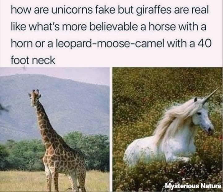 unicorn meme, unicorn memes, unicorn jokes, unicorn laughs, mythical horse meme, unicorn jokes, magical horse jokes, rainbow horse humor, unicorn quotes, unicorn sayings, horned horse quotes, funny unicorn, silly unicorn, comedic unicorn