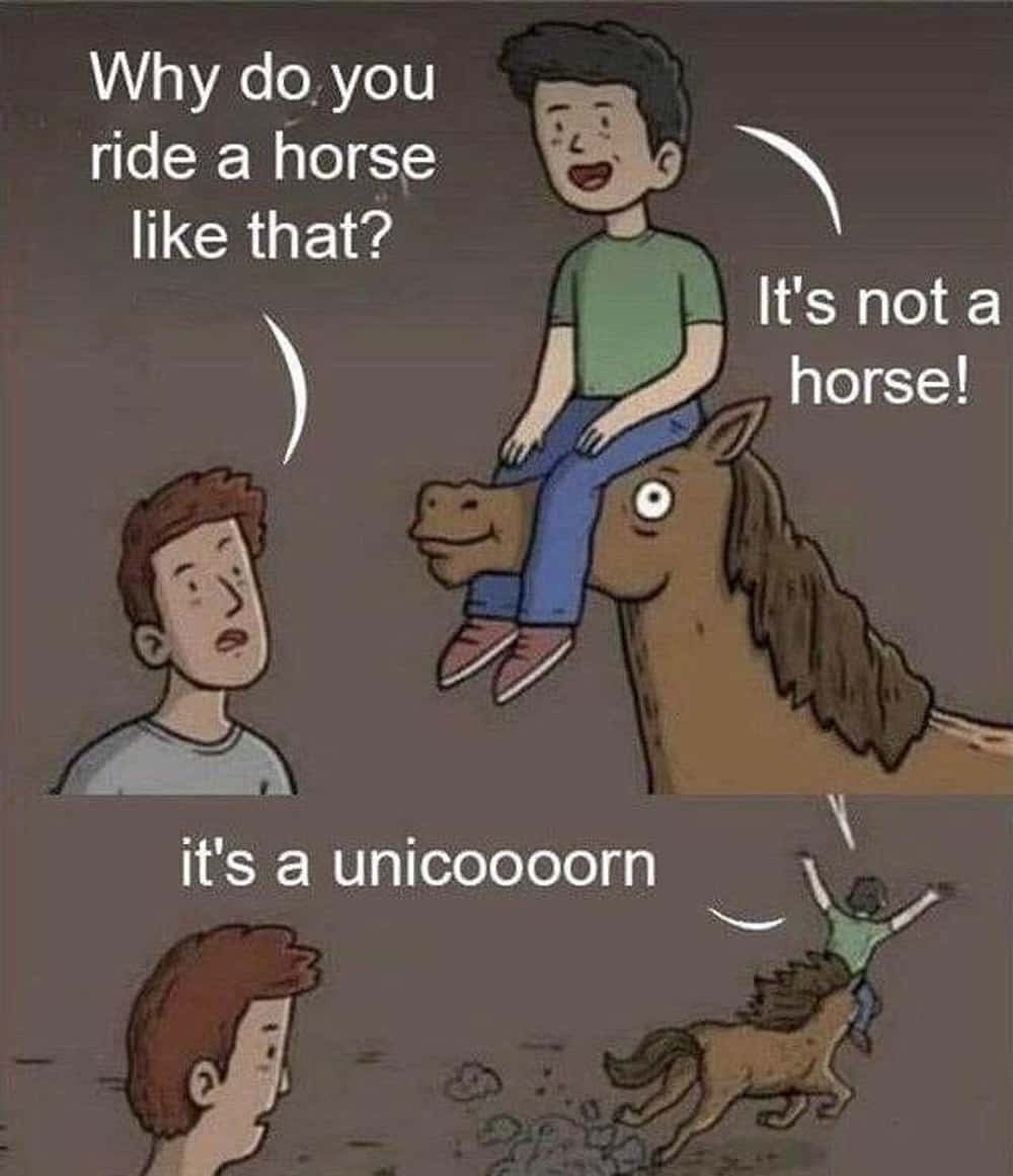 unicorn meme, unicorn memes, unicorn jokes, unicorn laughs, mythical horse meme, unicorn jokes, magical horse jokes, rainbow horse humor, unicorn quotes, unicorn sayings, horned horse quotes, funny unicorn, silly unicorn, comedic unicorn