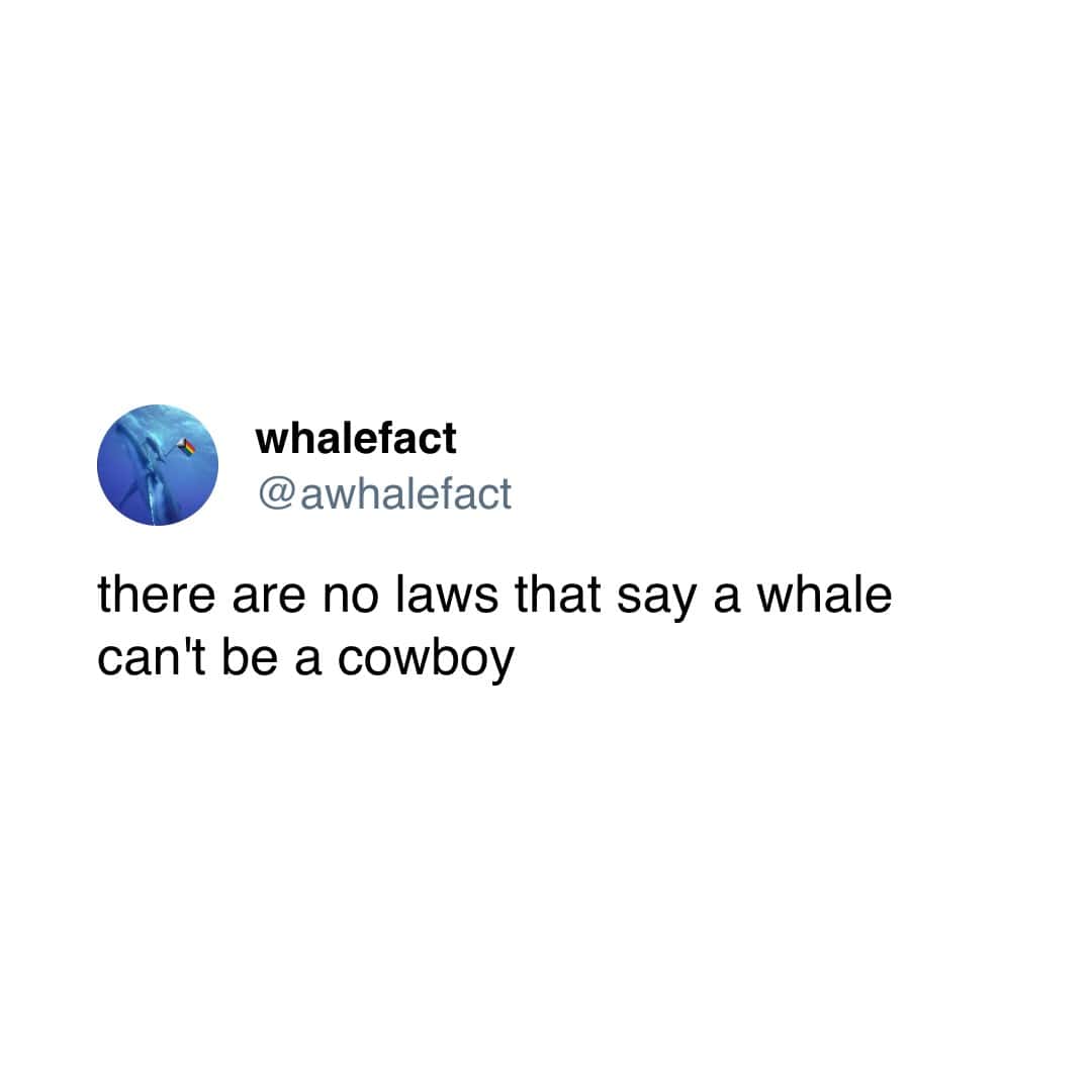 there are no laws that say a whale can't be a cowboy