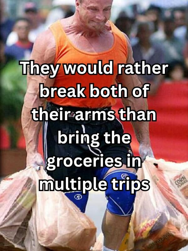 They would rather break both of their arms than bring the groceries in multiple trips