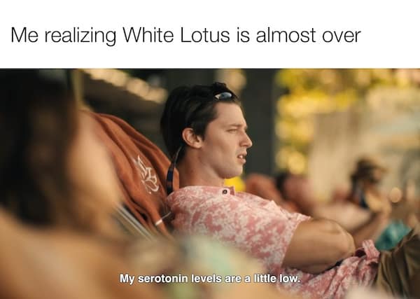 Me realizing White Lotus is almost over My serotonin levels are a little low.