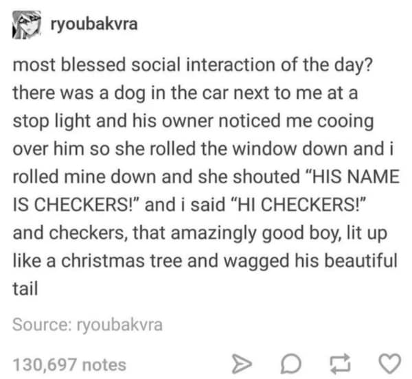 wholesome memes, heartwarming memes, uplifting memes, feel-good memes, positive memes, happy memes, good vibes memes, cheerful jokes, inspirational memes, supportive memes, kind memes, soft humor, sweet memes, comforting memes, nice memes, friendly laughs