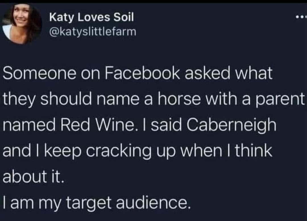 wholesome memes, heartwarming memes, uplifting memes, positive memes, feel-good memes, feel-good memes, cheerful memes, encouraging memes, mood-lifting memes, supportive memes