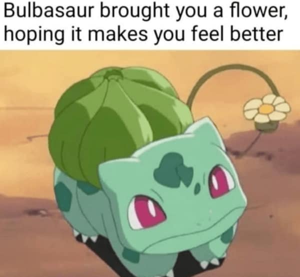 wholesome memes, heartwarming memes, uplifting memes, feel-good memes, positive memes, happy memes, good vibes memes, cheerful jokes, inspirational memes, supportive memes, kind memes, soft humor, sweet memes, comforting memes, nice memes, friendly laughs