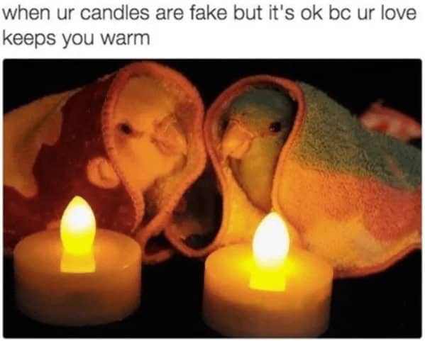 wholesome memes, heartwarming memes, uplifting memes, positivity memes, feel-good memes, encouraging images, good vibes, feel-good vibes, heartwarming posts, comforting humor, sunday scaries, weekend dread, back-to-work blues