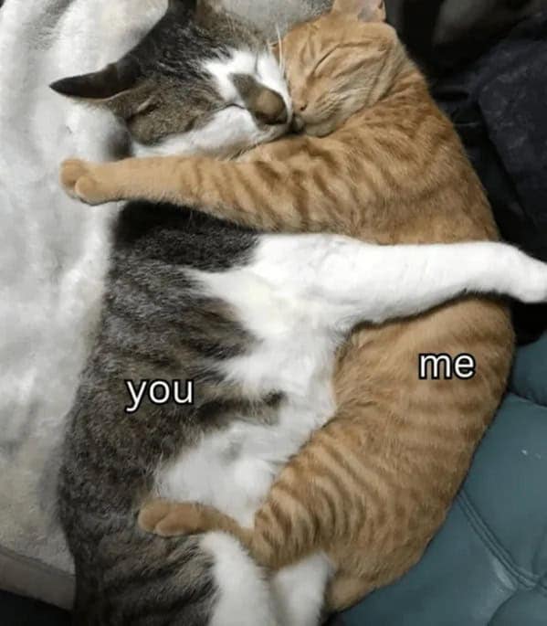 wholesome memes, heartwarming memes, uplifting memes, positivity memes, feel-good memes, encouraging images, good vibes, feel-good vibes, heartwarming posts, comforting humor, sunday scaries, weekend dread, back-to-work blues