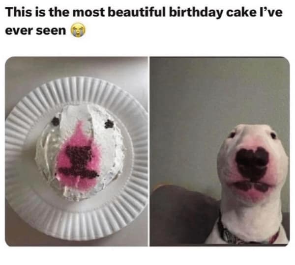 wholesome memes, heartwarming memes, uplifting memes, feel-good memes, positive memes, happy memes, good vibes memes, cheerful jokes, inspirational memes, supportive memes, kind memes, soft humor, sweet memes, comforting memes, nice memes, friendly laughs