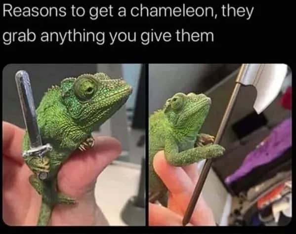 wholesome memes, heartwarming memes, uplifting memes, positivity memes, feel-good memes, encouraging images, good vibes, feel-good vibes, heartwarming posts, comforting humor, sunday scaries, weekend dread, back-to-work blues