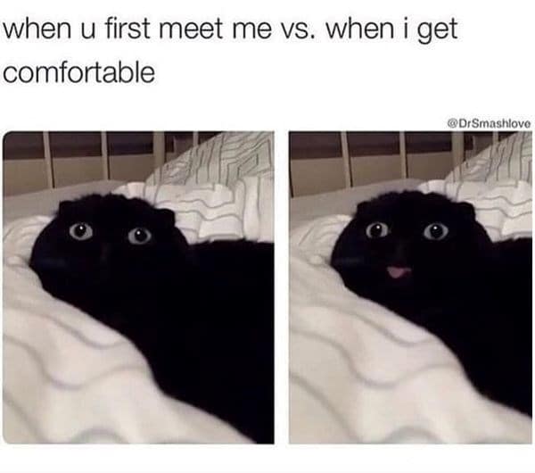 wholesome memes, heartwarming memes, uplifting memes, feel-good memes, positive memes, happy memes, good vibes memes, cheerful jokes, inspirational memes, supportive memes, kind memes, soft humor, sweet memes, comforting memes, nice memes, friendly laughs