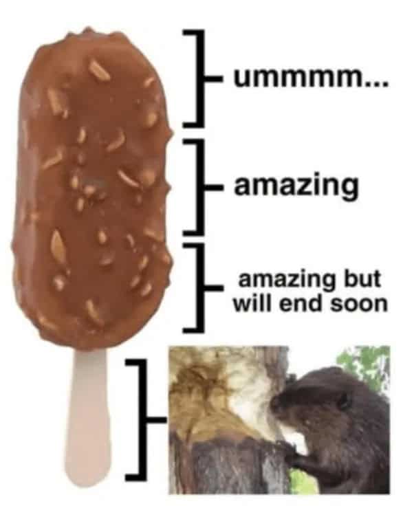 wholesome memes, heartwarming memes, uplifting memes, positivity memes, feel-good memes, encouraging images, good vibes, feel-good vibes, heartwarming posts, comforting humor, sunday scaries, weekend dread, back-to-work blues