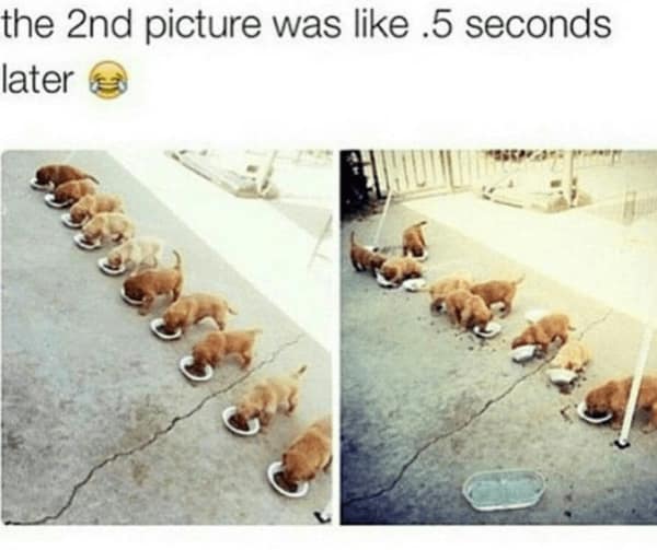 wholesome memes, heartwarming memes, uplifting memes, feel-good memes, positive memes, happy memes, good vibes memes, cheerful jokes, inspirational memes, supportive memes, kind memes, soft humor, sweet memes, comforting memes, nice memes, friendly laughs