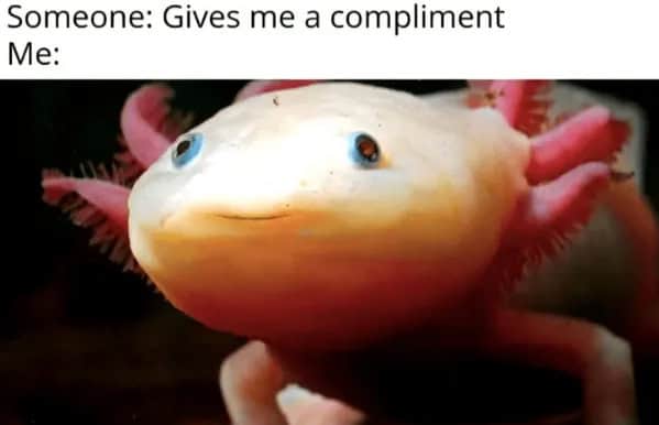 wholesome memes, heartwarming memes, uplifting memes, positivity memes, feel-good memes, encouraging images, good vibes, feel-good vibes, heartwarming posts, comforting humor, sunday scaries, weekend dread, back-to-work blues